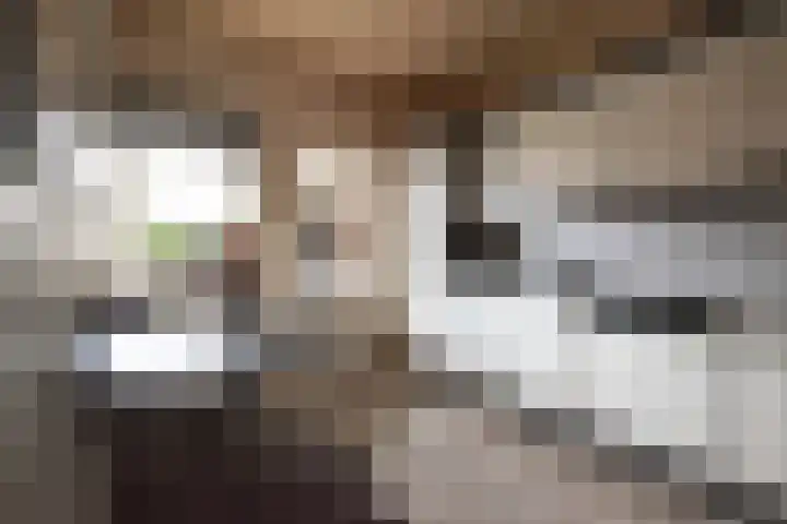 Beiaardiershoeve 1 Apeldoorn thumbnail 16