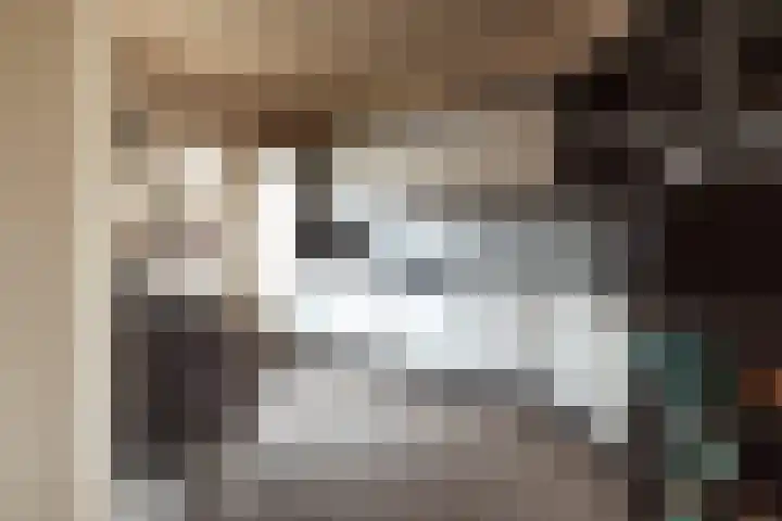 Beiaardiershoeve 1 Apeldoorn thumbnail 17