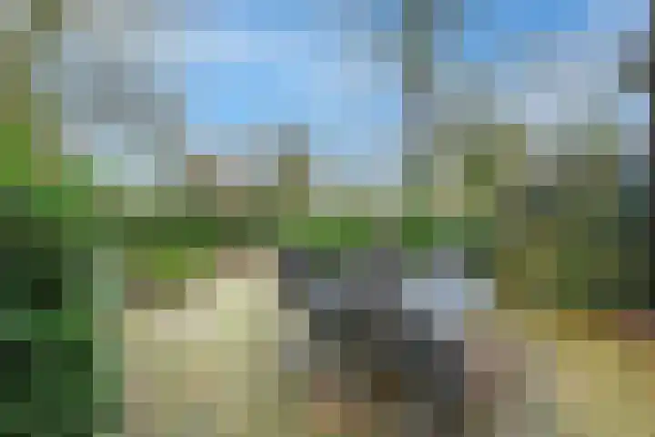 Beiaardiershoeve 1 Apeldoorn thumbnail 32