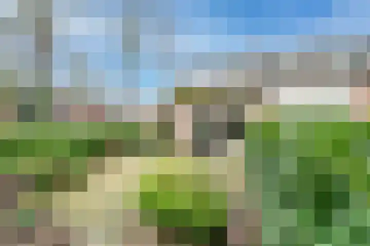 Beiaardiershoeve 1 Apeldoorn thumbnail 34