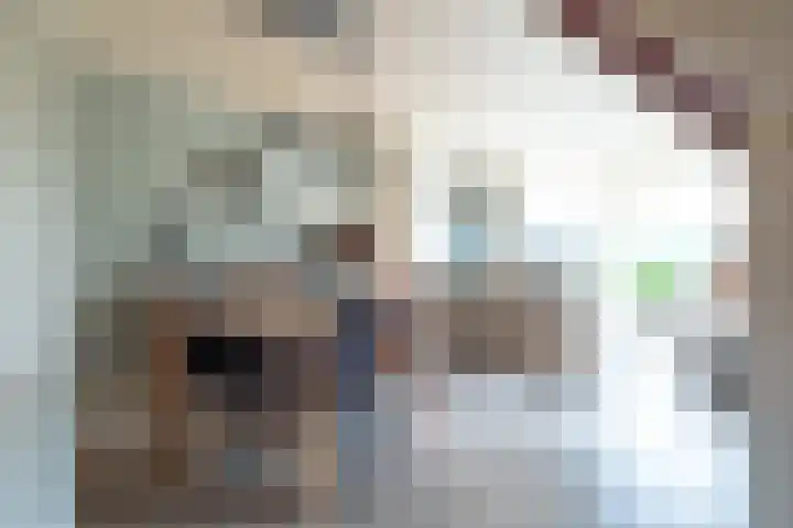 Beiaardiershoeve 1 Apeldoorn thumbnail 9