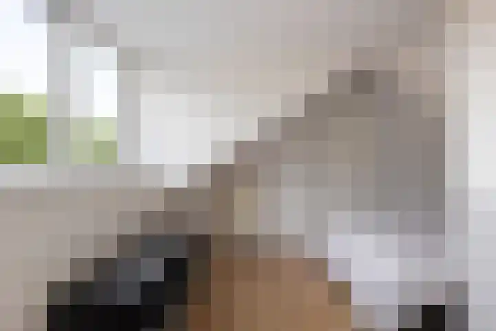 Beiaardiershoeve 104 Apeldoorn thumbnail 23