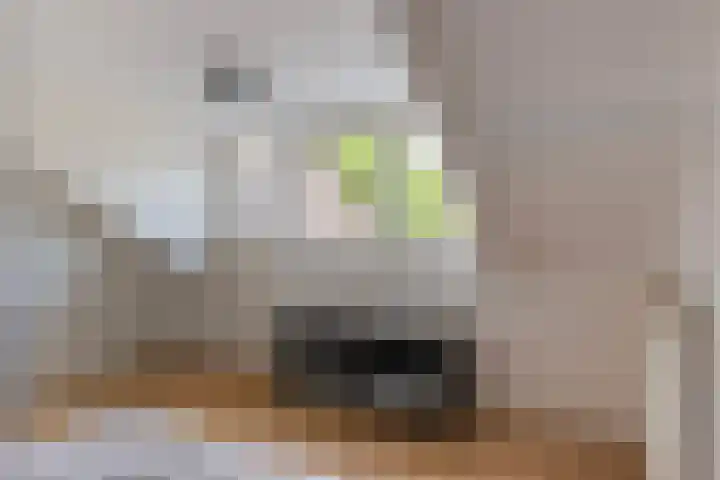 Beiaardiershoeve 104 Apeldoorn thumbnail 24