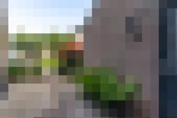 Beiaardiershoeve 104 Apeldoorn thumbnail 25
