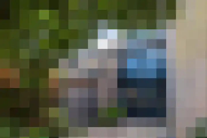 Beiaardiershoeve 104 Apeldoorn thumbnail 26