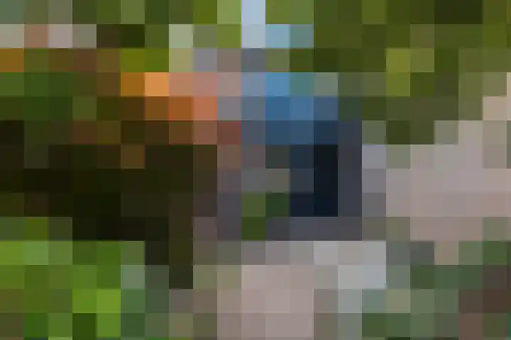 Beiaardiershoeve 104 Apeldoorn thumbnail 27