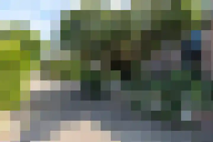Beiaardiershoeve 104 Apeldoorn thumbnail 28
