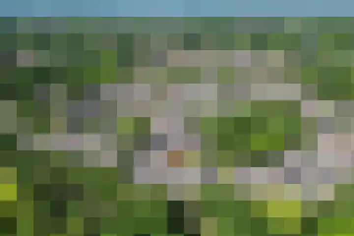 Beiaardiershoeve 104 Apeldoorn thumbnail 30