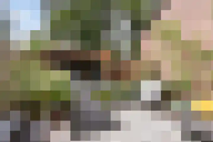 Beiaardiershoeve 117 Apeldoorn thumbnail 12