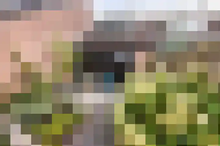 Beiaardiershoeve 117 Apeldoorn thumbnail 13