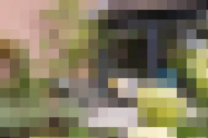 Beiaardiershoeve 117 Apeldoorn thumbnail 14