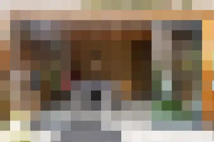 Beiaardiershoeve 117 Apeldoorn thumbnail 15