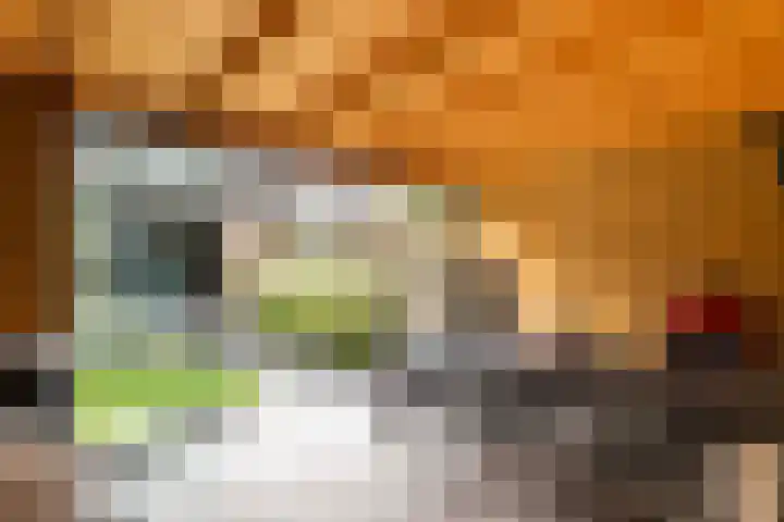 Beiaardiershoeve 117 Apeldoorn thumbnail 16