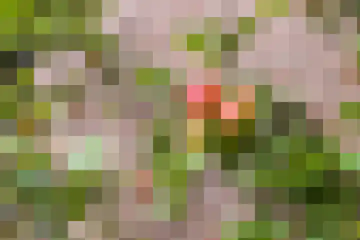 Beiaardiershoeve 117 Apeldoorn thumbnail 17