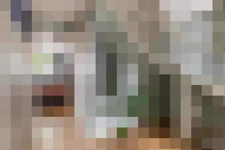 Beiaardiershoeve 117 Apeldoorn thumbnail 18
