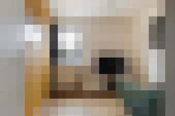 Beiaardiershoeve 117 Apeldoorn thumbnail 20