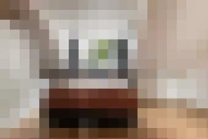 Beiaardiershoeve 117 Apeldoorn thumbnail 21