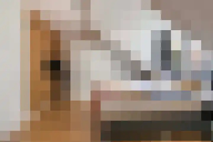 Beiaardiershoeve 117 Apeldoorn thumbnail 22
