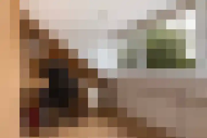 Beiaardiershoeve 117 Apeldoorn thumbnail 24
