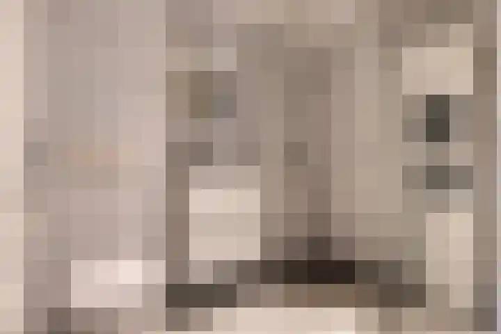 Beiaardiershoeve 117 Apeldoorn thumbnail 25