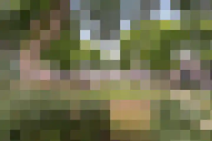 Beiaardiershoeve 117 Apeldoorn thumbnail 28