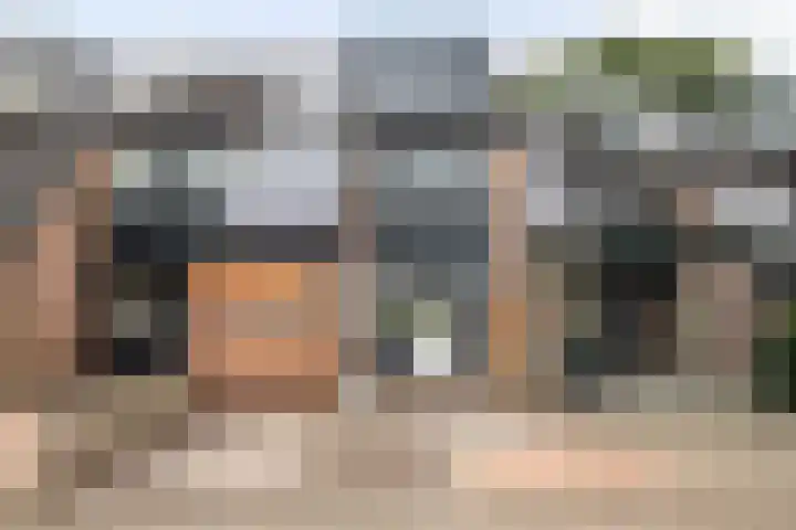 Beiaardiershoeve 117 Apeldoorn thumbnail 35