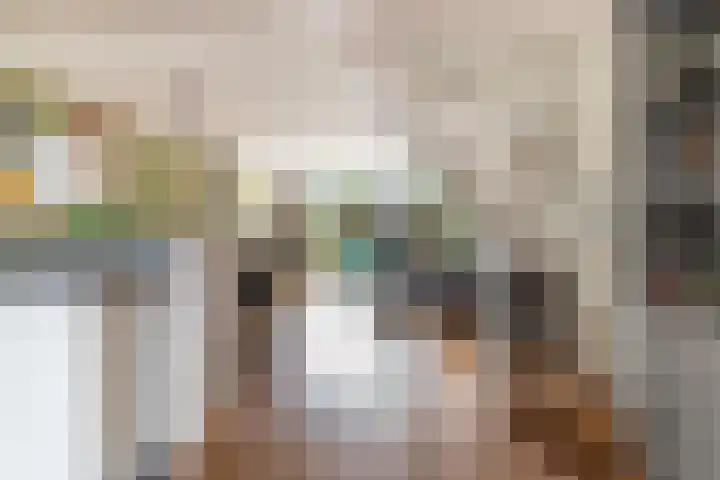Beiaardiershoeve 117 Apeldoorn thumbnail 4