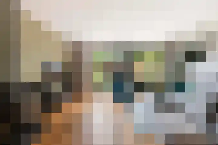Beiaardiershoeve 117 Apeldoorn thumbnail 5