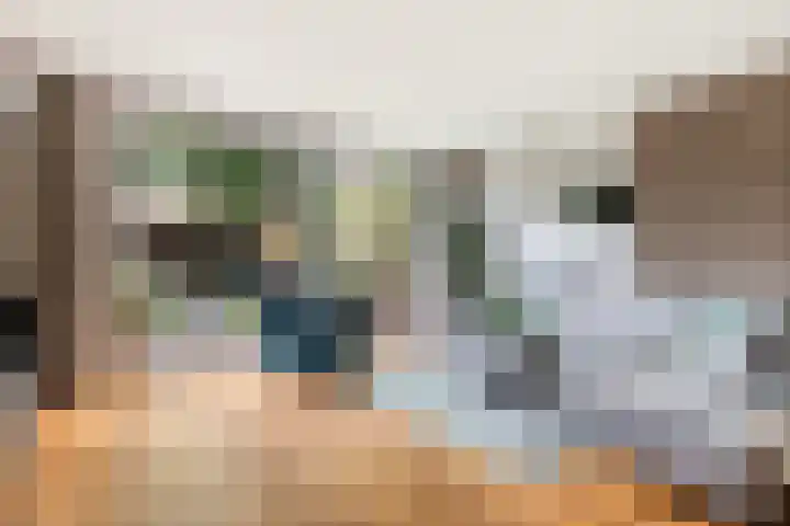 Beiaardiershoeve 117 Apeldoorn thumbnail 6