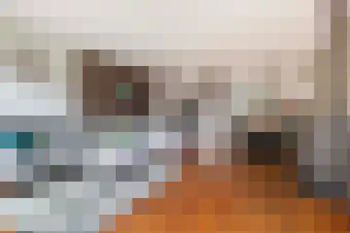 Beiaardiershoeve 117 Apeldoorn thumbnail 8