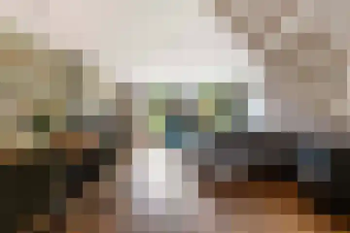 Beiaardiershoeve 117 Apeldoorn thumbnail 9