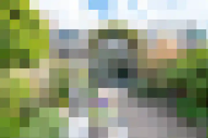 Beiaardiershoeve 118 Apeldoorn thumbnail 23