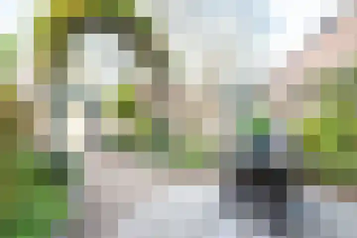 Beiaardiershoeve 118 Apeldoorn thumbnail 24