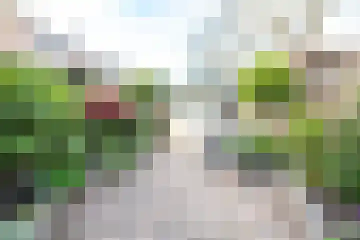 Beiaardiershoeve 118 Apeldoorn thumbnail 25