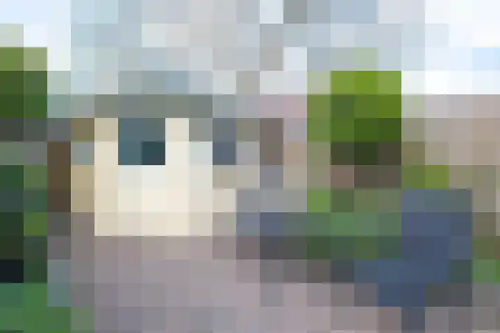 Beiaardiershoeve 118 Apeldoorn thumbnail 26