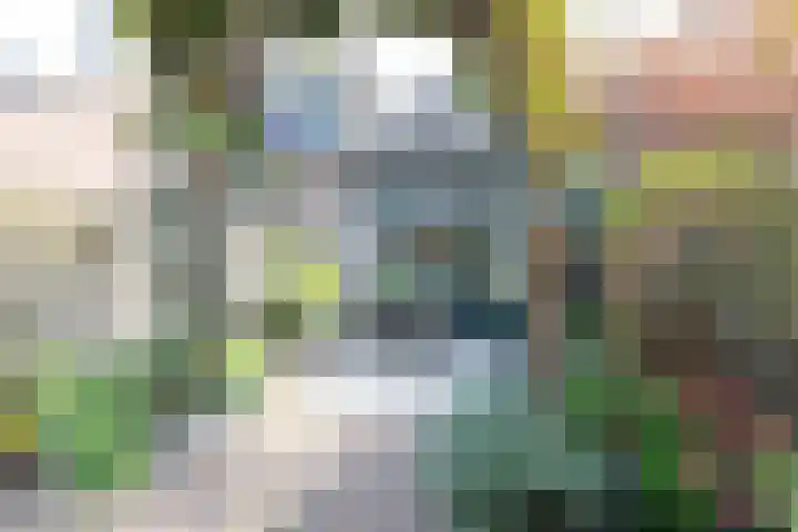 Beiaardiershoeve 118 Apeldoorn thumbnail 27