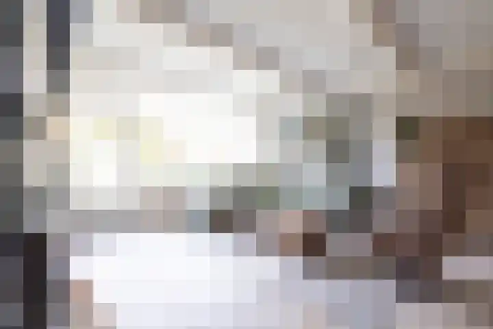 Beiaardiershoeve 118 Apeldoorn thumbnail 8