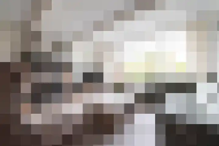 Beiaardiershoeve 118 Apeldoorn thumbnail 9