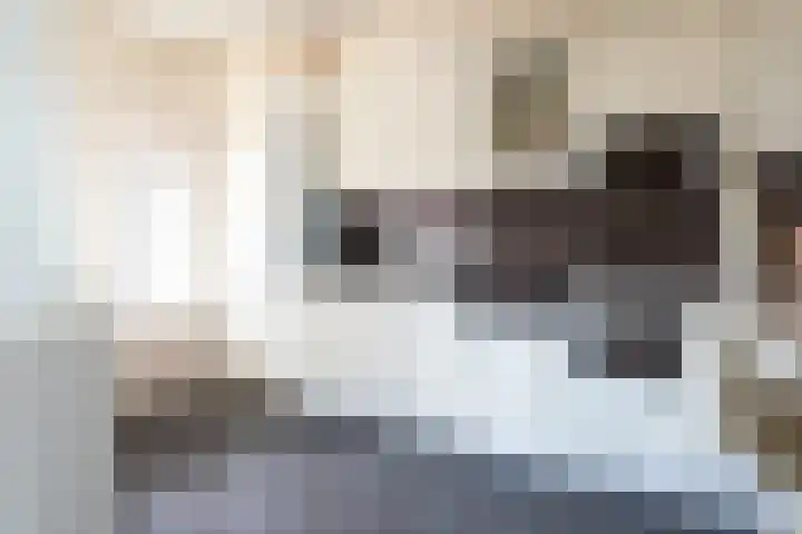 Beiaardiershoeve 4 Apeldoorn thumbnail 12