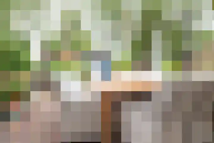 Beiaardiershoeve 4 Apeldoorn thumbnail 16