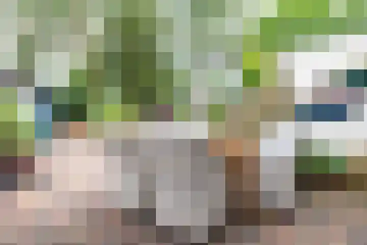 Beiaardiershoeve 4 Apeldoorn thumbnail 17