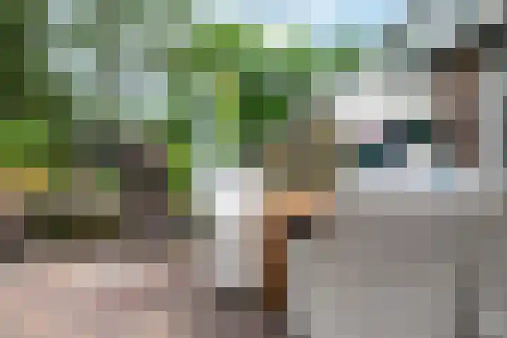 Beiaardiershoeve 4 Apeldoorn thumbnail 18