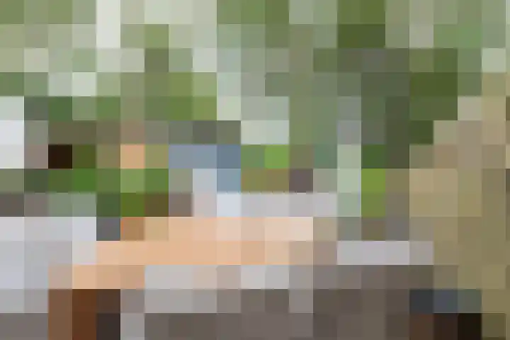 Beiaardiershoeve 4 Apeldoorn thumbnail 22