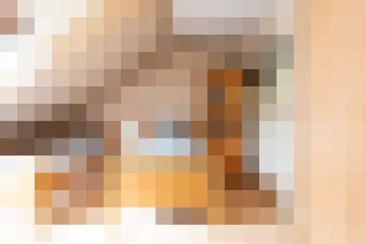 Beiaardiershoeve 4 Apeldoorn thumbnail 27