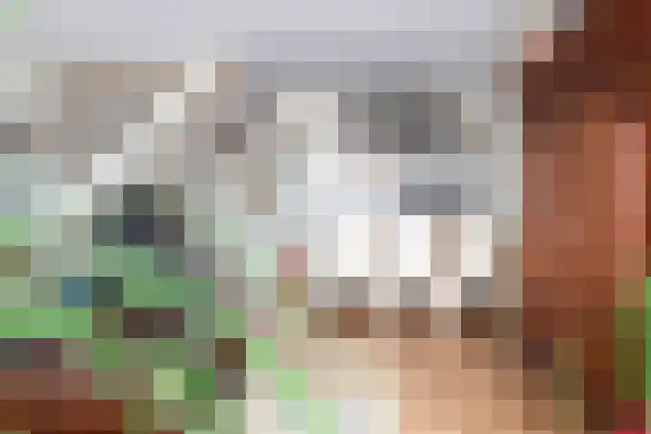 Beiaardiershoeve 4 Apeldoorn thumbnail 9