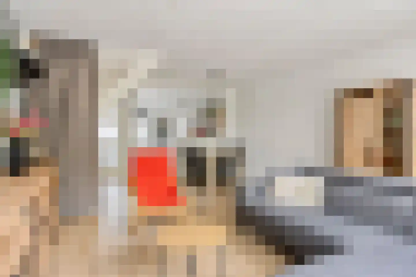 Beiaardiershoeve 7 Apeldoorn thumbnail 10