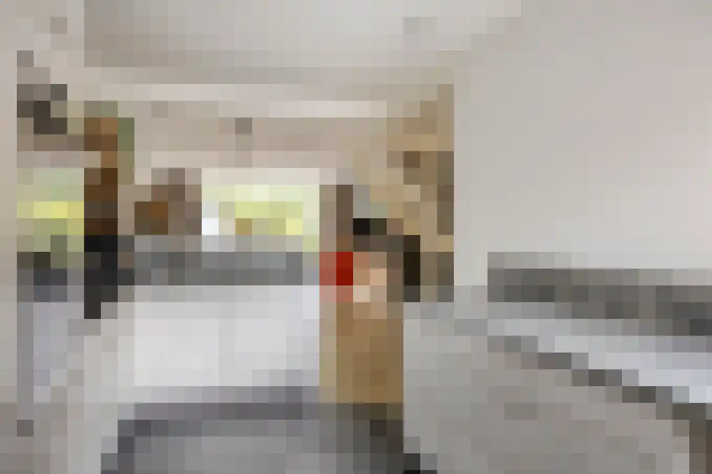 Beiaardiershoeve 7 Apeldoorn thumbnail 13