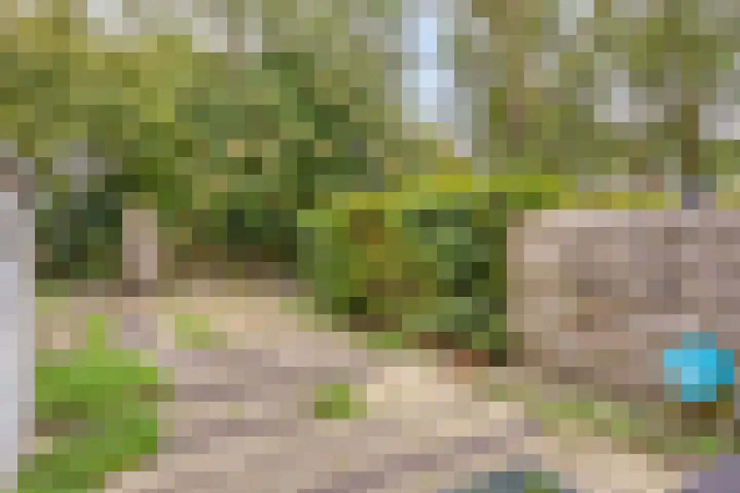 Beiaardiershoeve 7 Apeldoorn thumbnail 26