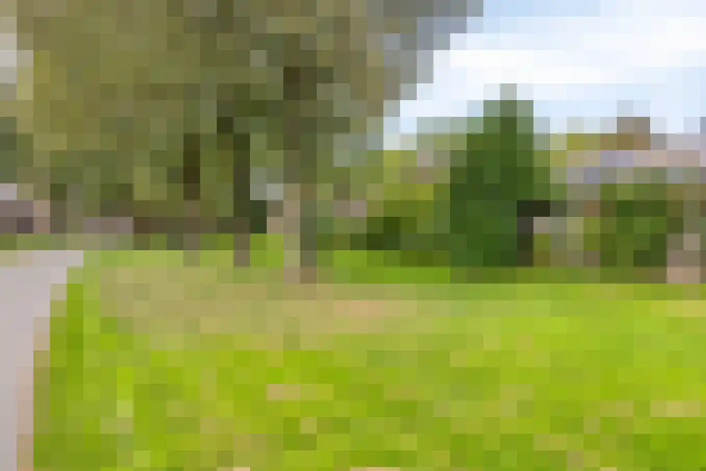 Beiaardiershoeve 7 Apeldoorn thumbnail 32