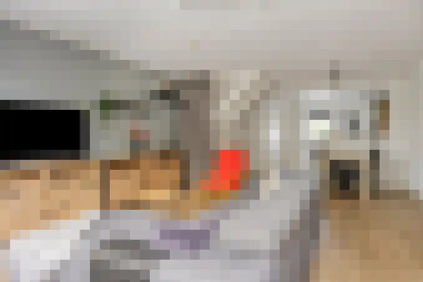 Beiaardiershoeve 7 Apeldoorn thumbnail 4